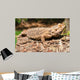 Bearded Dragon Wall Decal Design 1