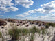 Dunes Long Island Wall Decal