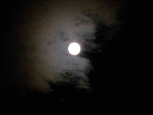 Silver Moon Wall Decal