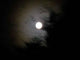 Silver Moon Wall Decal
