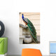 Peacock Wall Decal Design 3