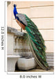 Peacock Wall Decal Design 3