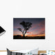 Acacia Tree Silhouette Wall Decal