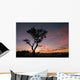 Acacia Tree Silhouette Wall Decal