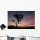 Acacia Tree Silhouette Wall Decal
