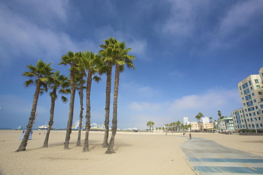 Palms and Pier Santa Wall Decal