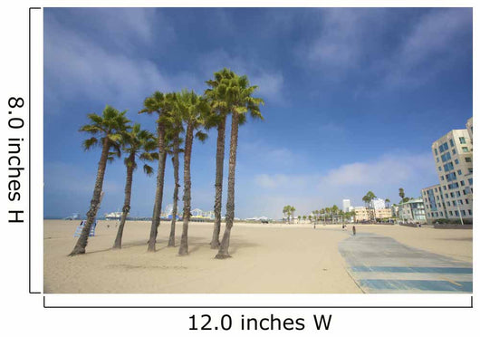 Palms and Pier Santa Wall Decal
