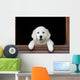 Adorable Young Golden Retriever Wall Decal
