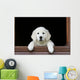 Adorable Young Golden Retriever Wall Decal
