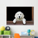 Adorable Young Golden Retriever Wall Decal