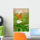 Julia Butterfly Wall Decal