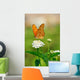 Julia Butterfly Wall Decal