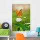 Julia Butterfly Wall Decal