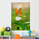 Julia Butterfly Wall Decal
