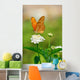Julia Butterfly Wall Decal