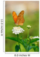 Julia Butterfly Wall Decal