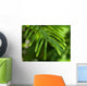 Branch Wall Decal