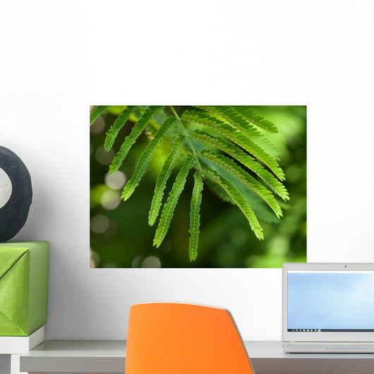 Branch Wall Decal