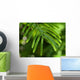 Branch Wall Decal