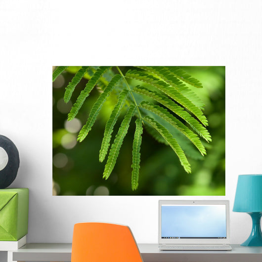 Branch Wall Decal