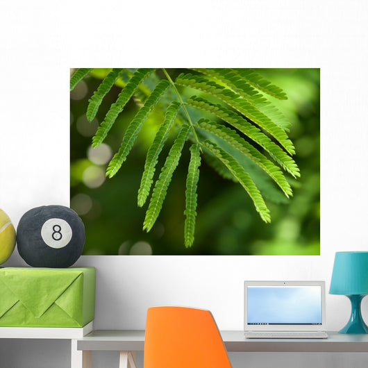 Branch Wall Decal