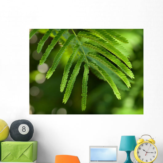 Branch Wall Decal