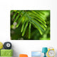 Branch Wall Decal