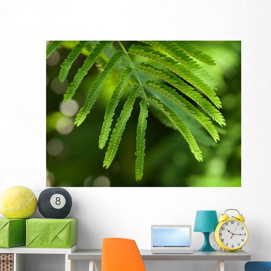 Branch Wall Decal