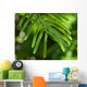 Branch Wall Decal