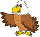 Cartoon Eagle Wall Decal