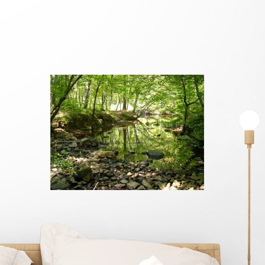 Reflecting Water Wall Decal