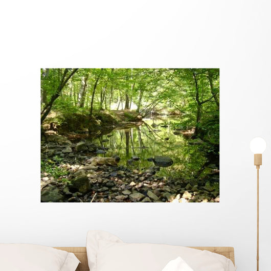 Reflecting Water Wall Decal