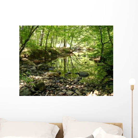 Reflecting Water Wall Decal
