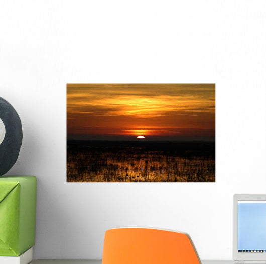 Sunrise Louisiana 2 Wall Decal