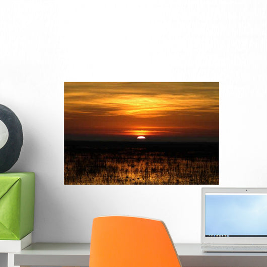 Sunrise Louisiana 2 Wall Decal