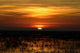 Sunrise Louisiana 2 Wall Decal