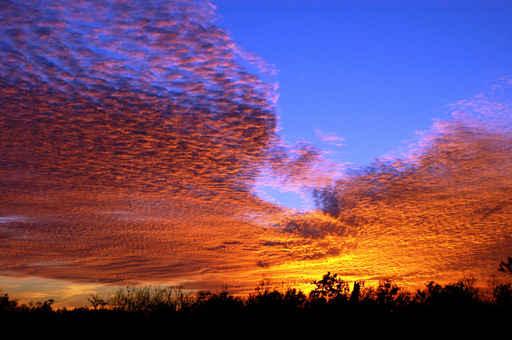 Sunset Louisiana Wall Decal