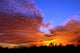 Sunset Louisiana Wall Decal