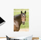 Horse Wall Decal Design 3