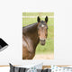 Horse Wall Decal Design 3
