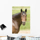 Horse Wall Decal Design 3