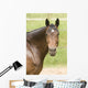 Horse Wall Decal Design 3