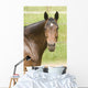 Horse Wall Decal Design 3