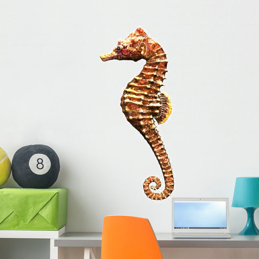 Hippocampe 3D Sea Horse Wall Decal