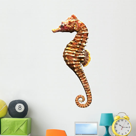 Hippocampe 3D Sea Horse Wall Decal