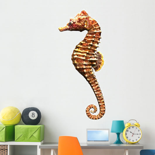 Hippocampe 3D Sea Horse Wall Decal