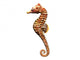 Hippocampe 3D Sea Horse Wall Decal