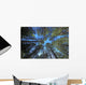 Extremely Tall Pine Trees Wall Decal