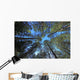 Extremely Tall Pine Trees Wall Decal
