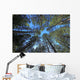 Extremely Tall Pine Trees Wall Decal